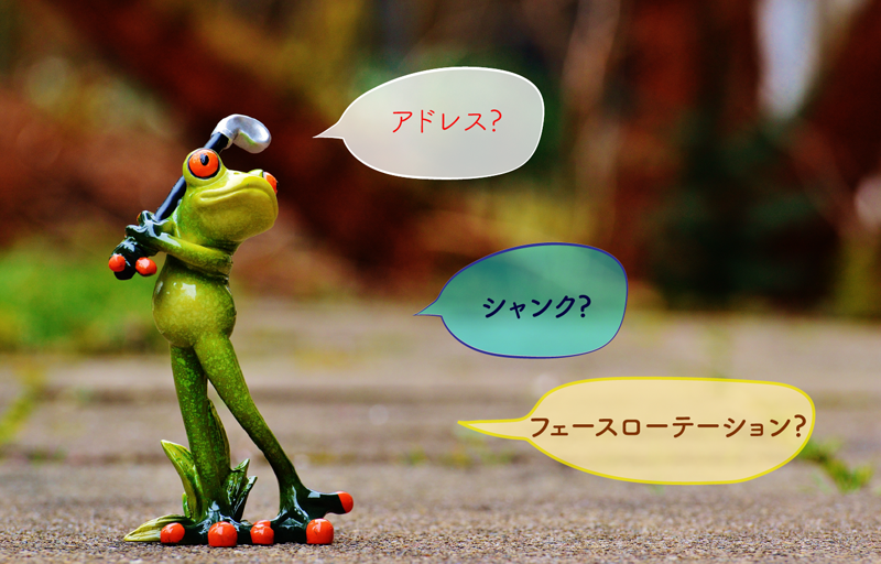 frog-1212201