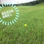 夏ラフ【UGMゴルフスクール/ジェクサー錦糸町店】